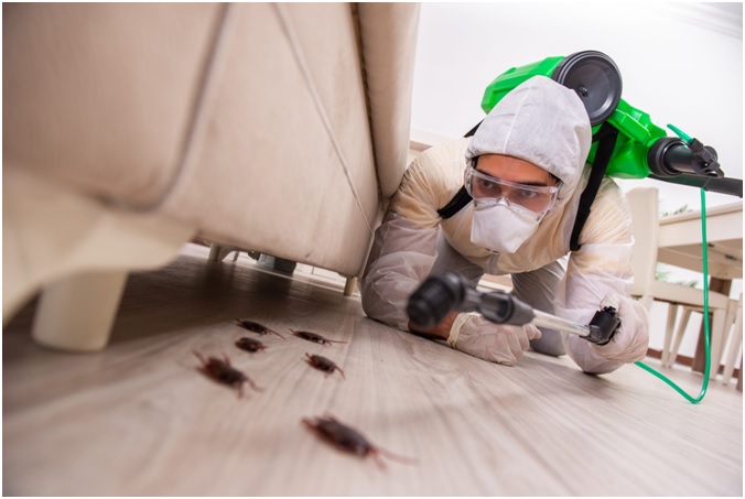 Majority of tips to know while referring to pests control Services Company