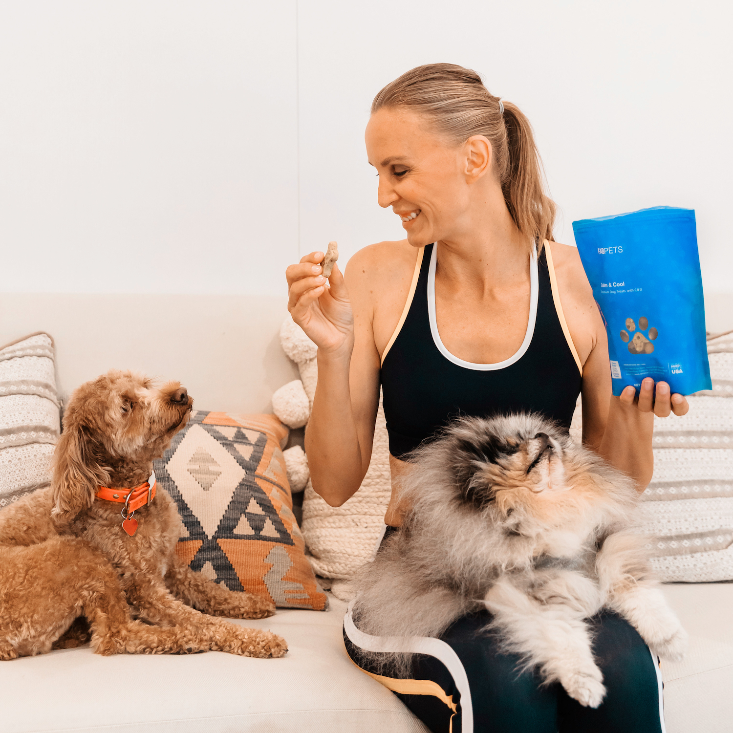 Holistapet CBG tincture: a natural way to treat anxiety and stress in pets