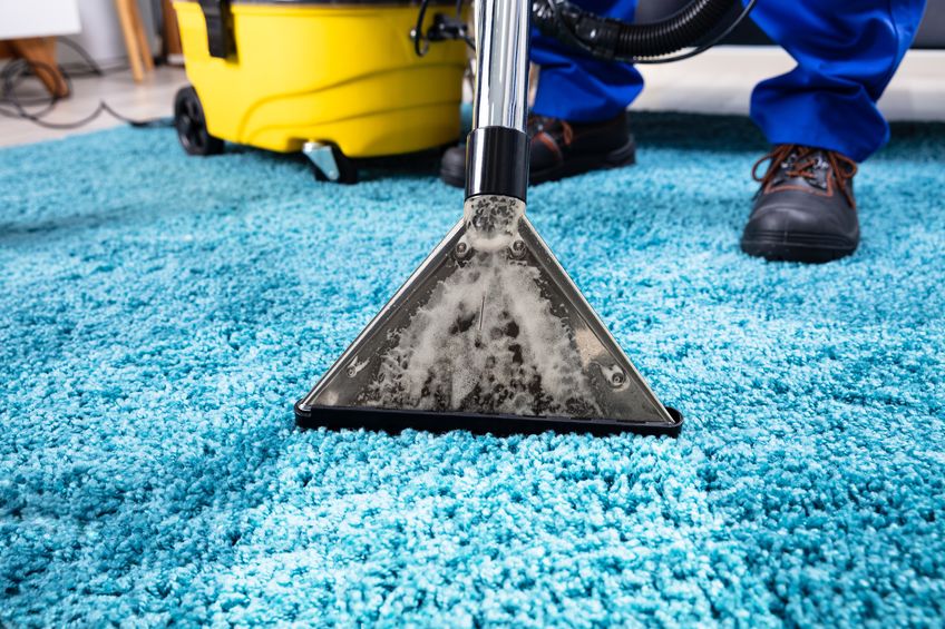 Experience the Magic of Professional Carpet Cleaning Services