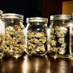 buy world class weed through online store
