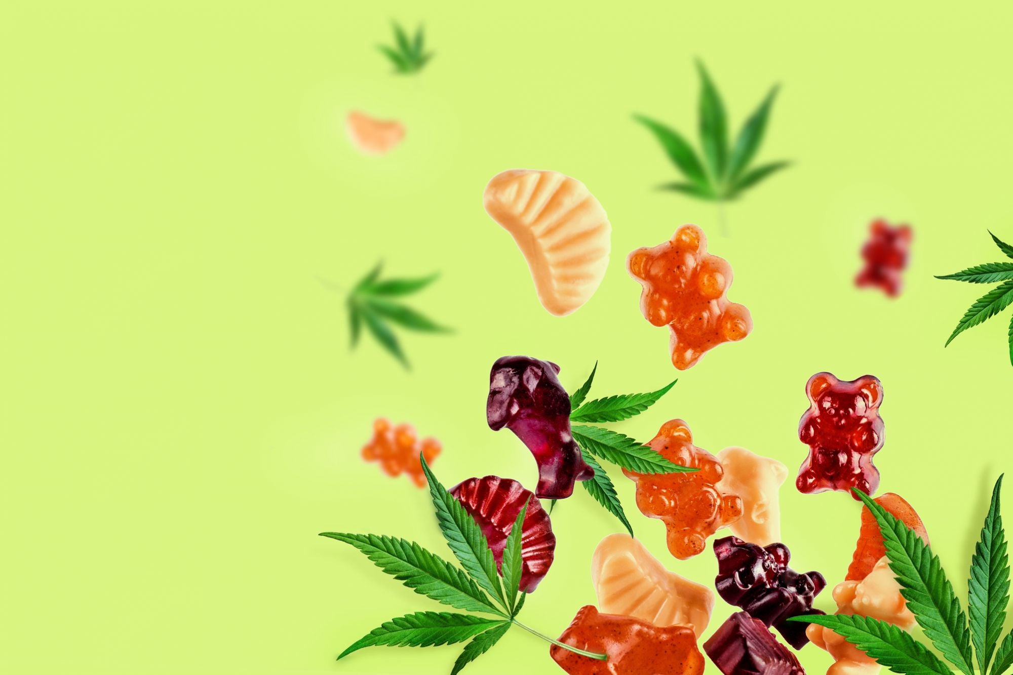 More Facts About CBD Gummies